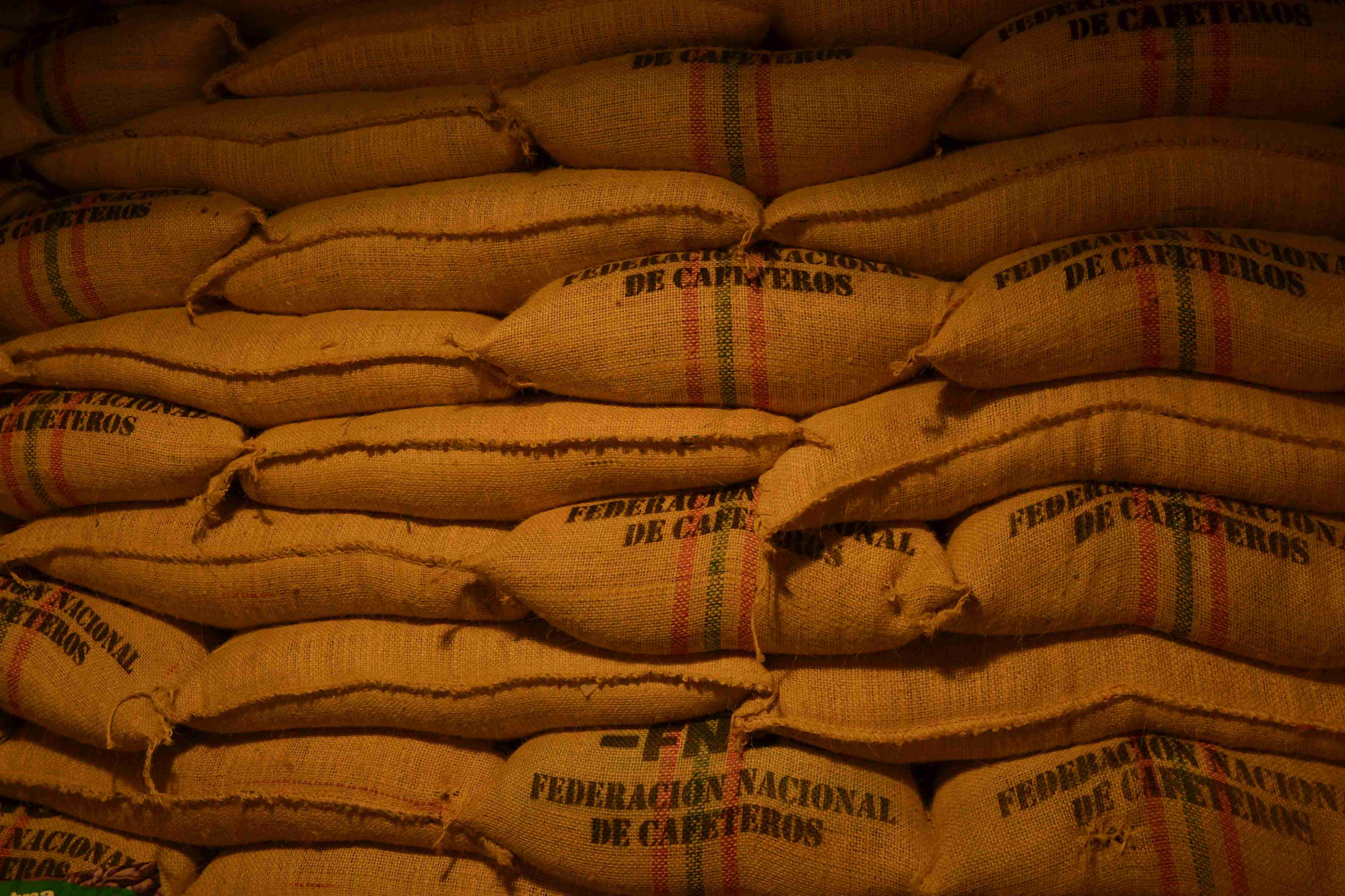 Free Ration Distribution